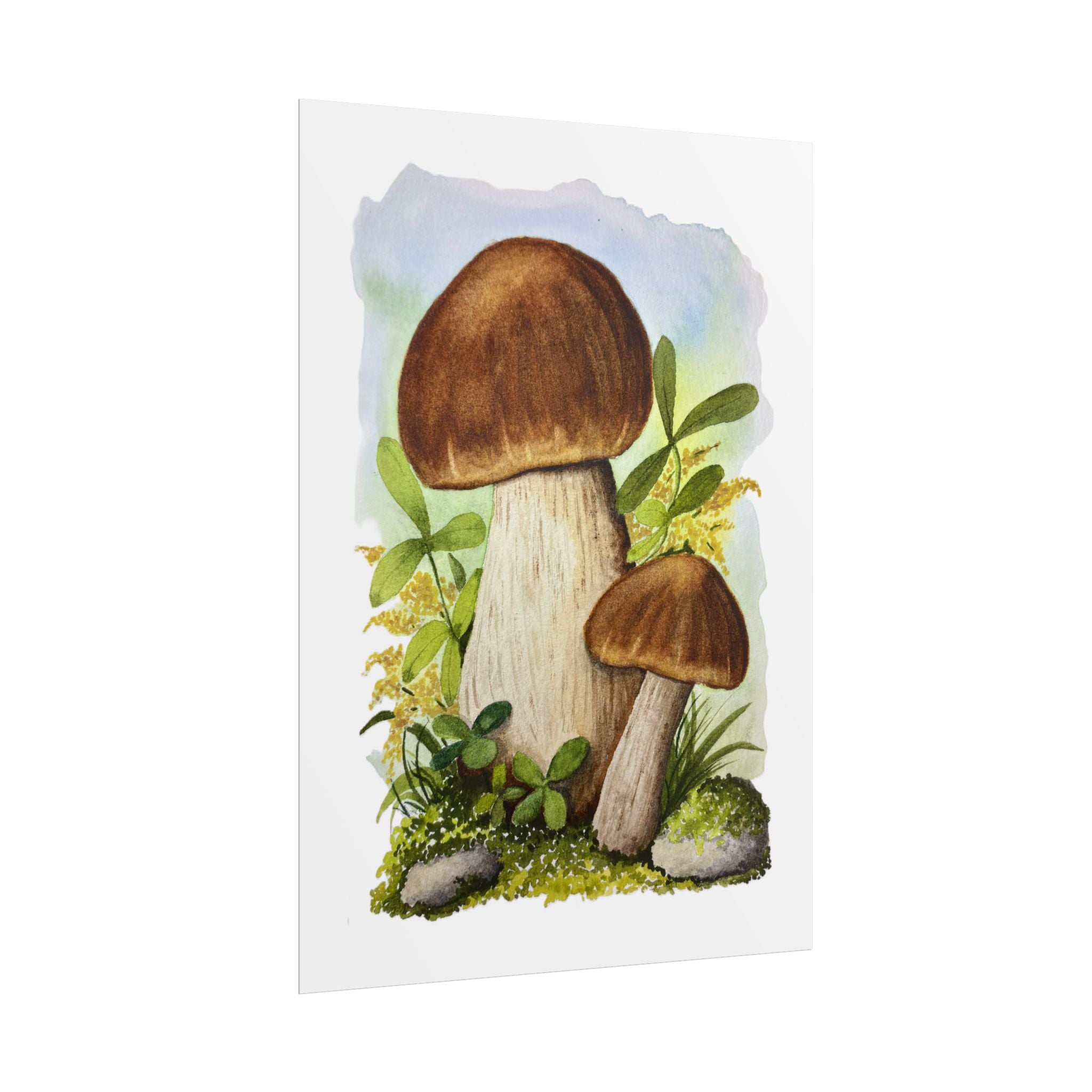 Watercolor Porcini Mushrooms - Cottagecore print