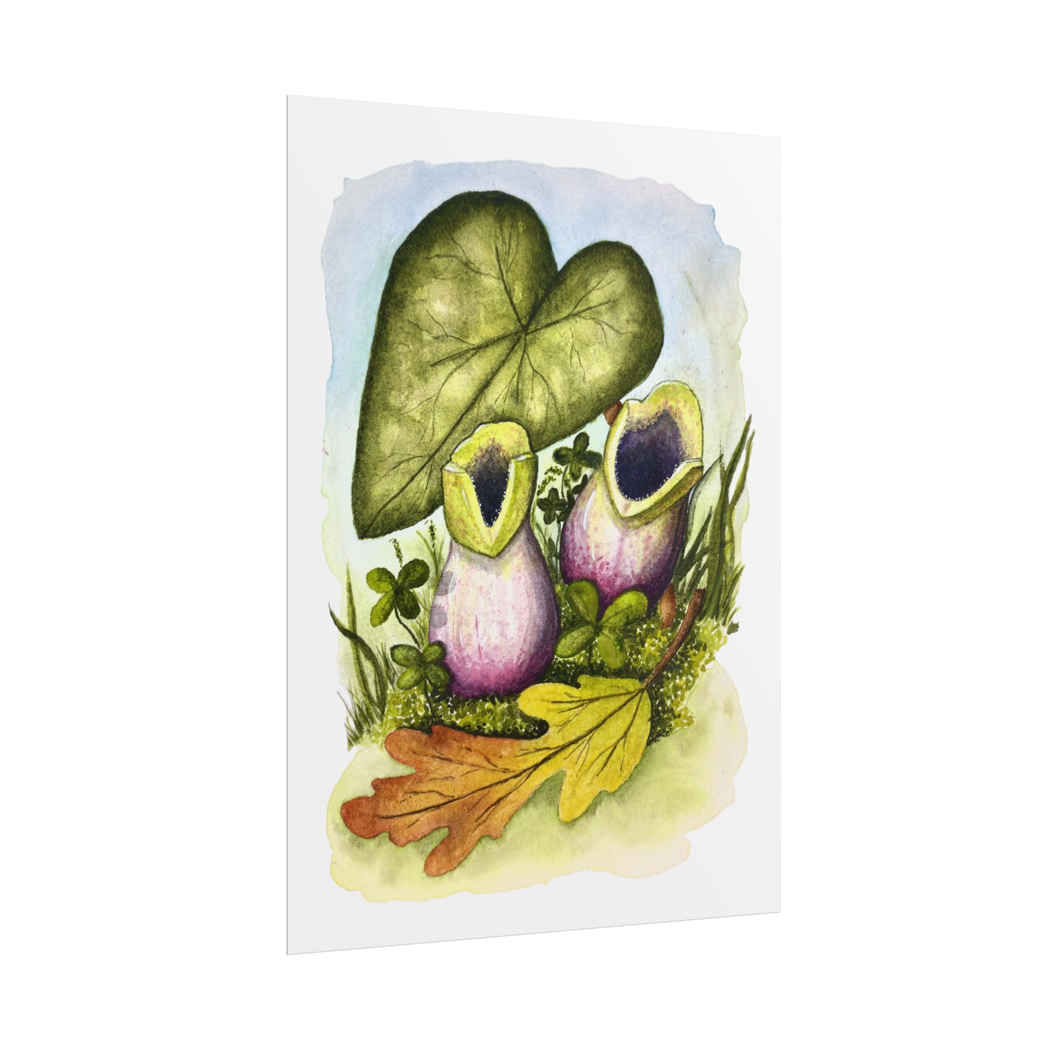 Wild Ginger (Fairy Jugs / Little Brown Jugs) - Watercolor Art Print