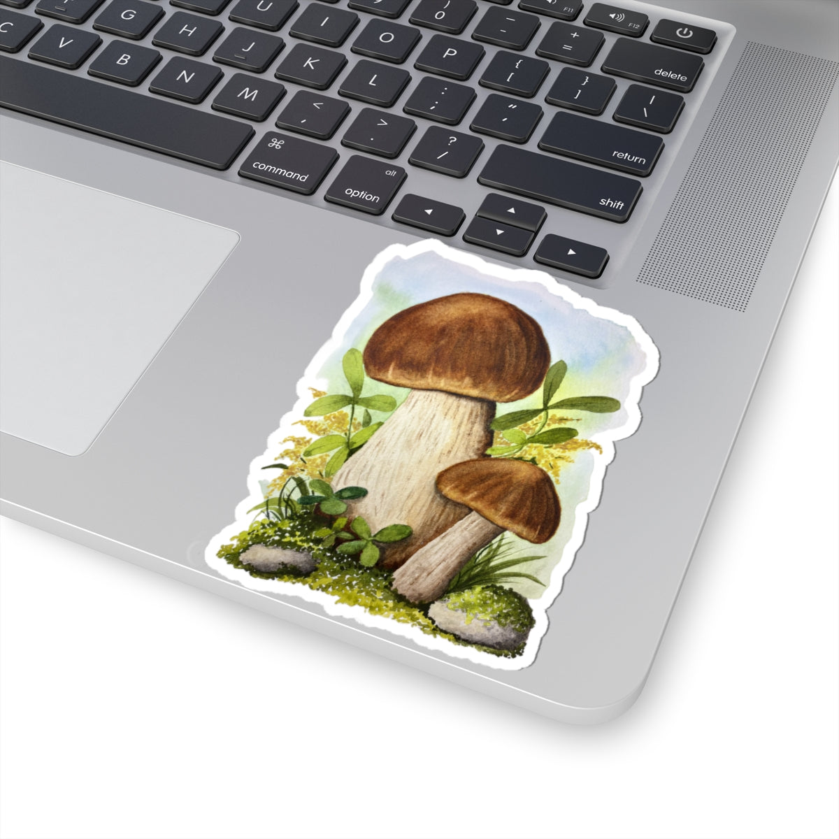Watercolor Mushroom Illustration Sticker | Kiss-Cut Sticker
