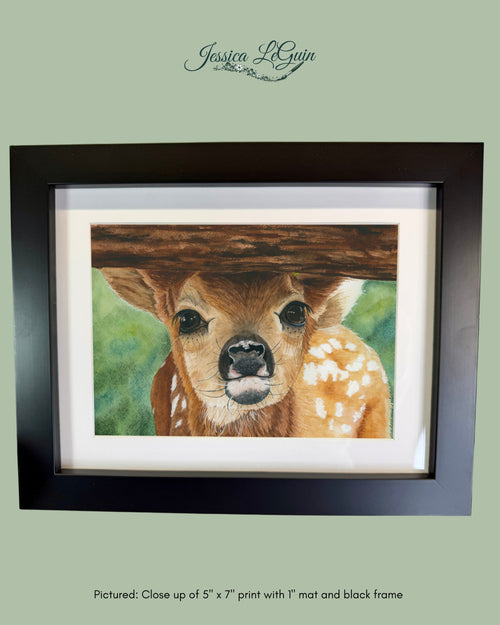 Baby Deer Peeking Under Fence Framed Print