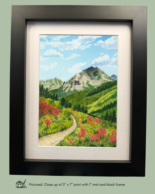 Crested Butte, Colorado 401 Trail Framed Print