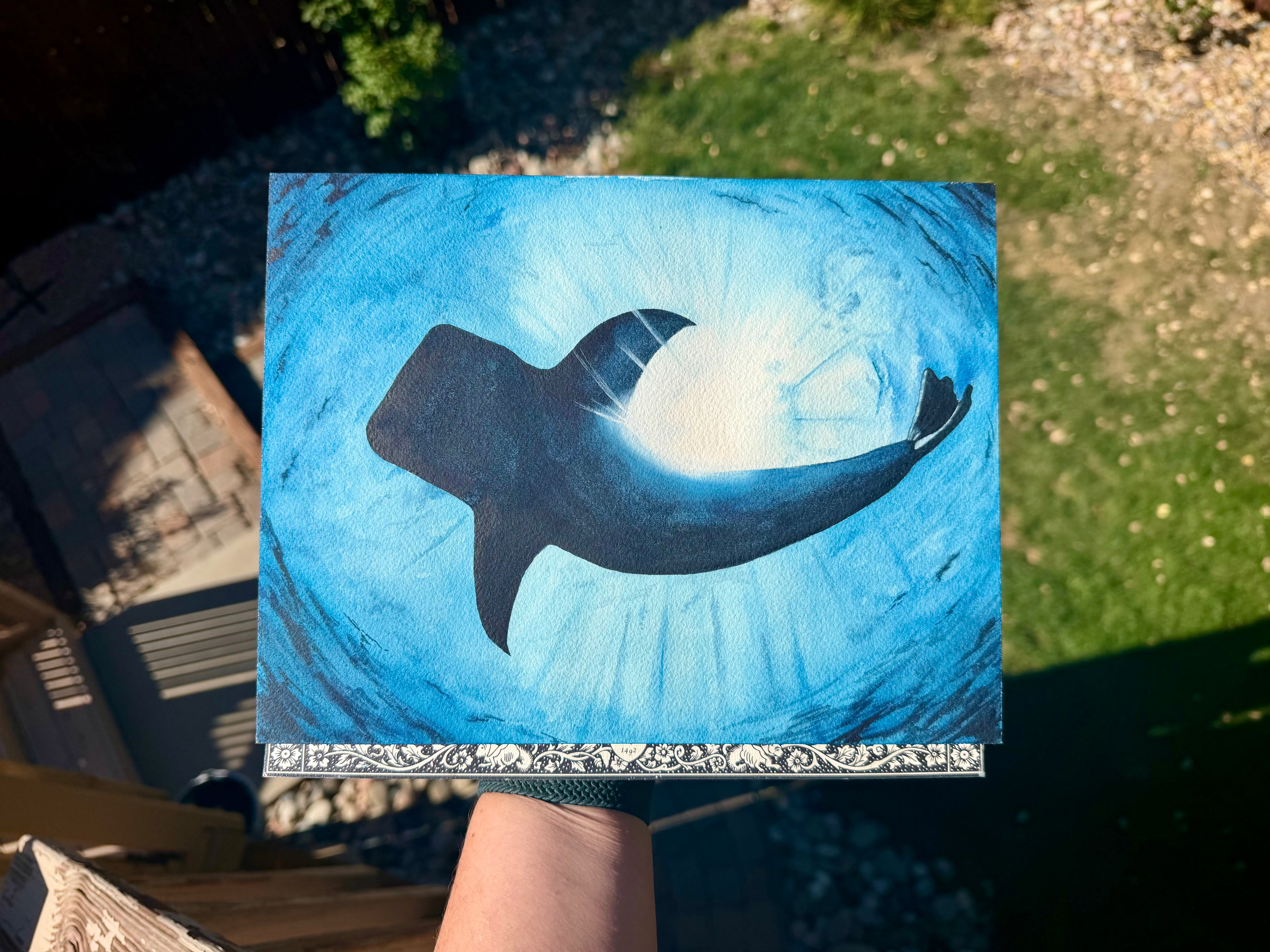 Whale Shark from Below Original Artwork 8x10"