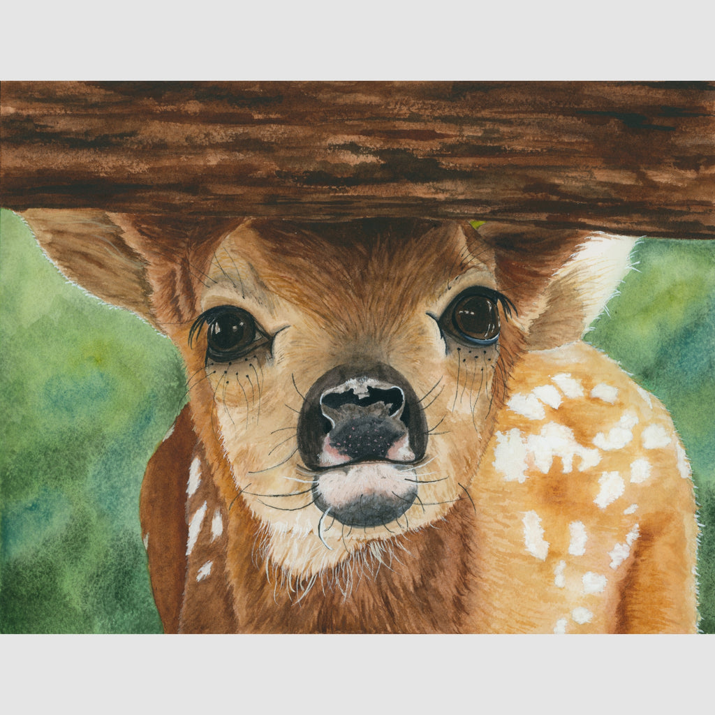 Baby Deer Peeking Under Fence Framed Print
