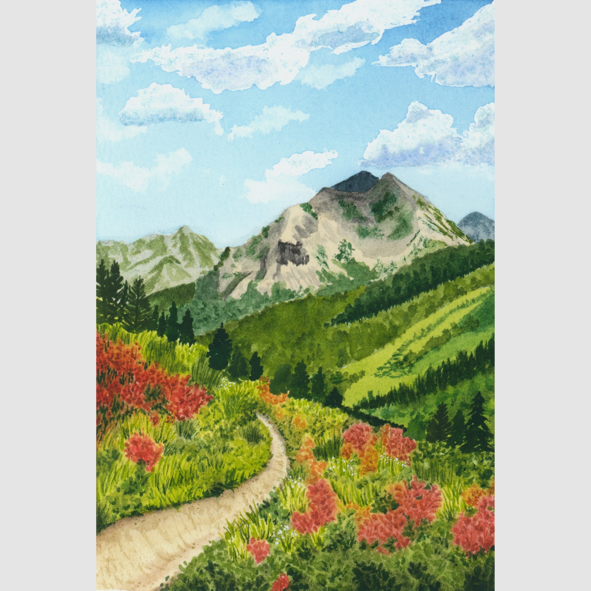 Crested Butte, Colorado 401 Trail Framed Print