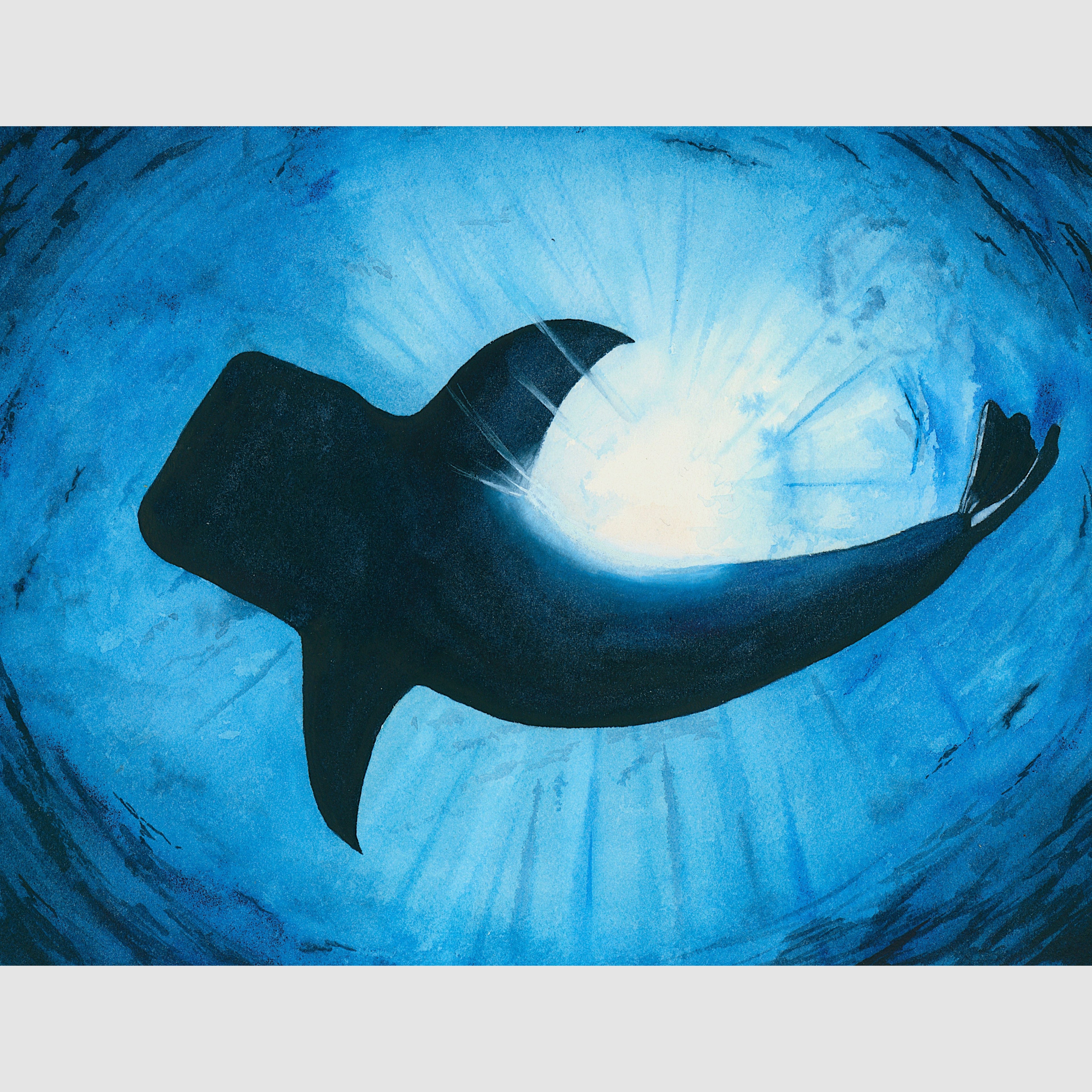Whale Shark Watercolor Framed Print