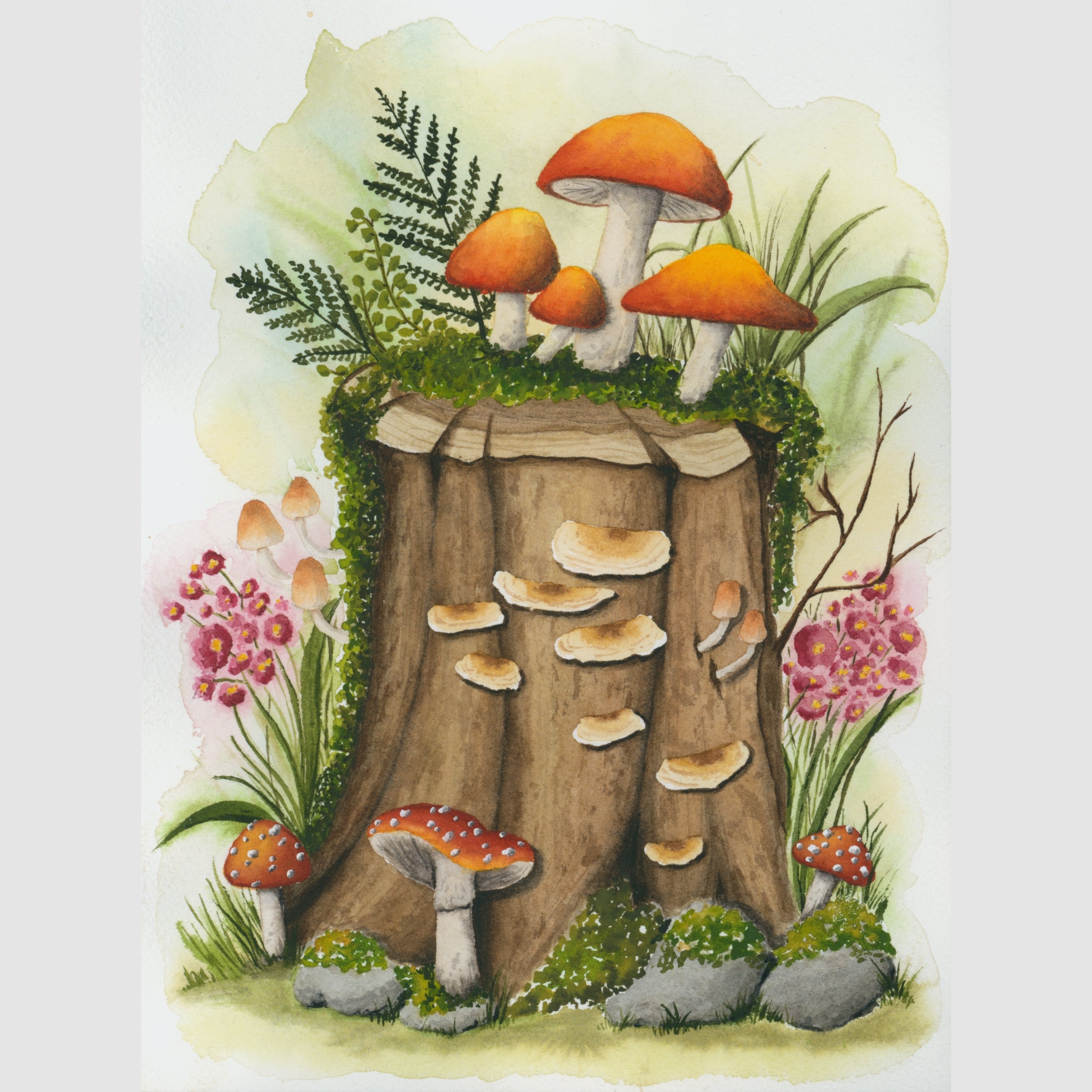 Mushroom Log Framed Print