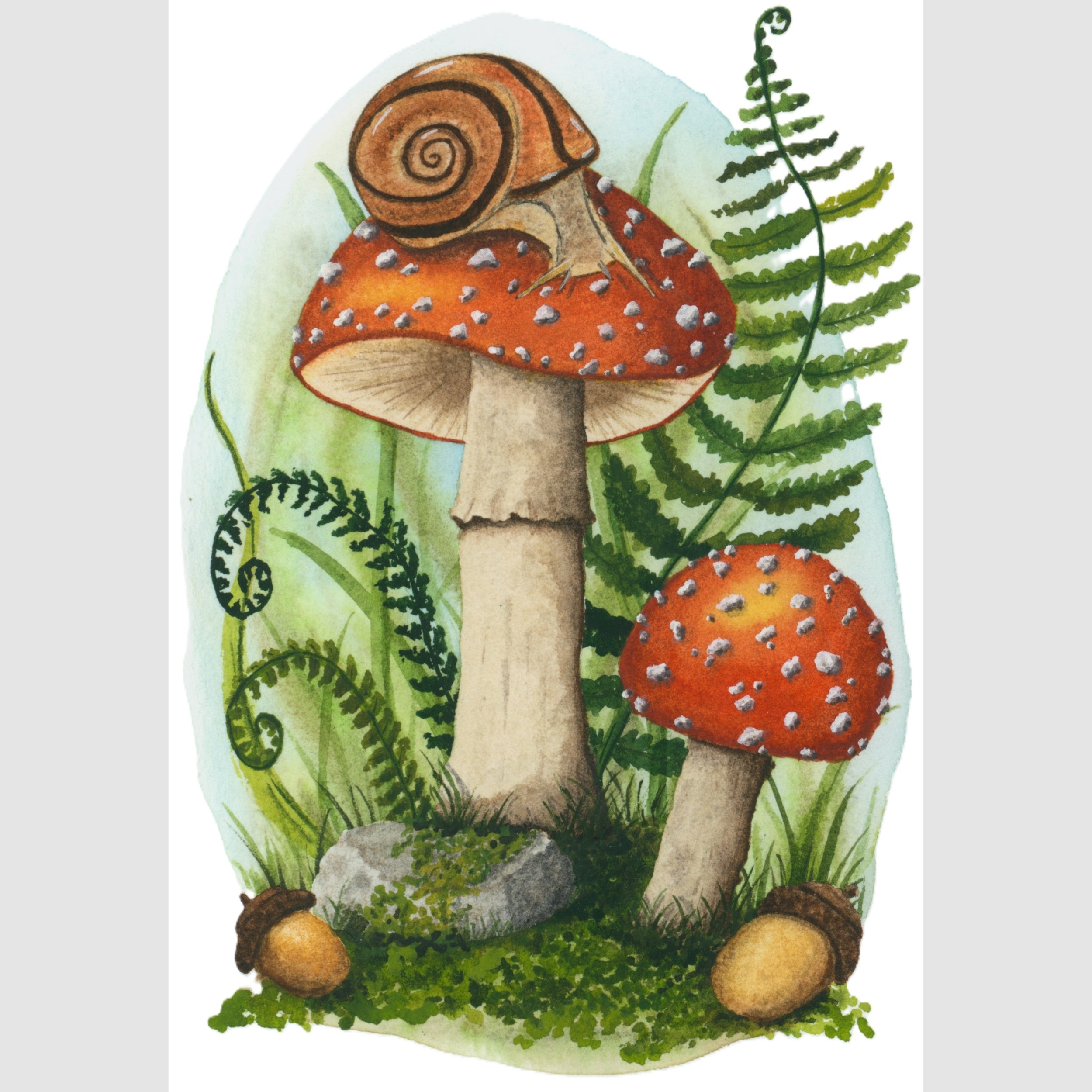 Snail on Fly Agaric Mushroom Framed Print