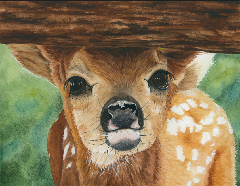 Baby Deer Peeking Under Fence Original Artwork 8x10"